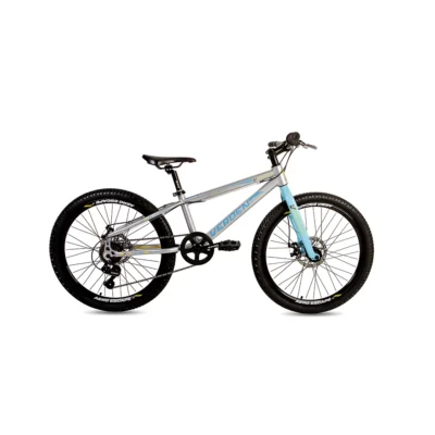 Bic Vortex R24 T11.5’’ V21 Prata A2